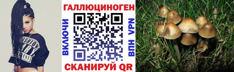 Галлюциногенные грибы прущие грибы  купить наркоту  Десногорск 